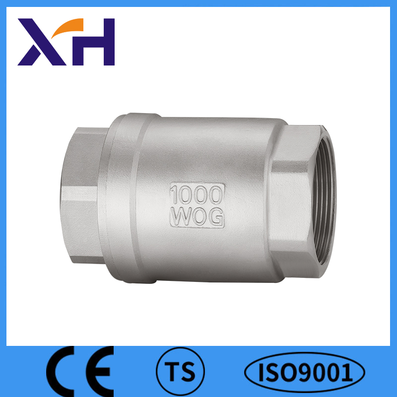 Vertical Lift Ss Check Valve Screw End